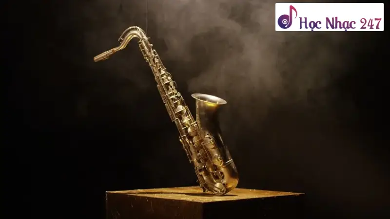 Các Loại Kèn Saxophone – Cấu Tạo Kèn Saxophone
