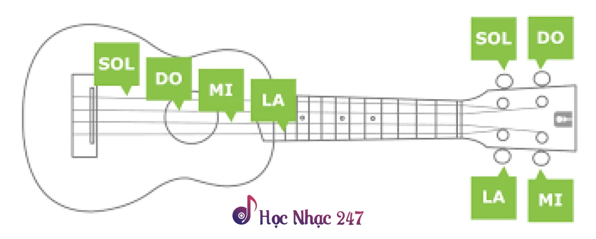 Học thuộc vị trí các nốt trên đàn ukulele - 4 dây buông của đàn ukulele